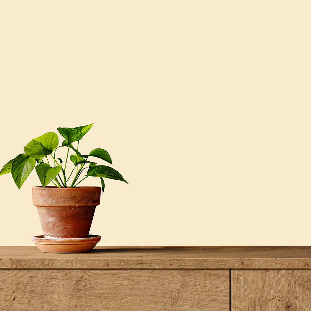 SAM - Bahut plante verte